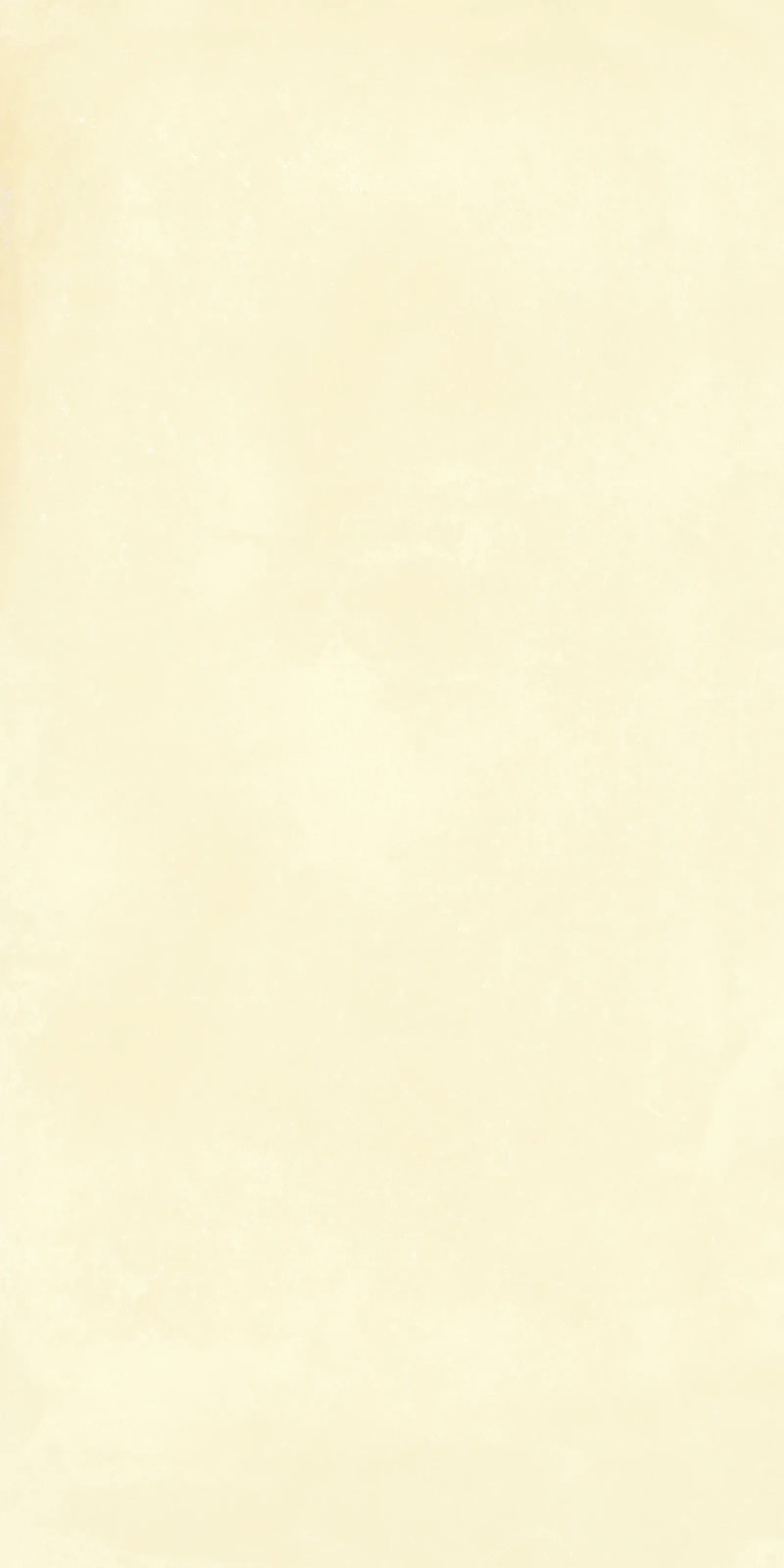 Небула Лайт Еллоу 60x120