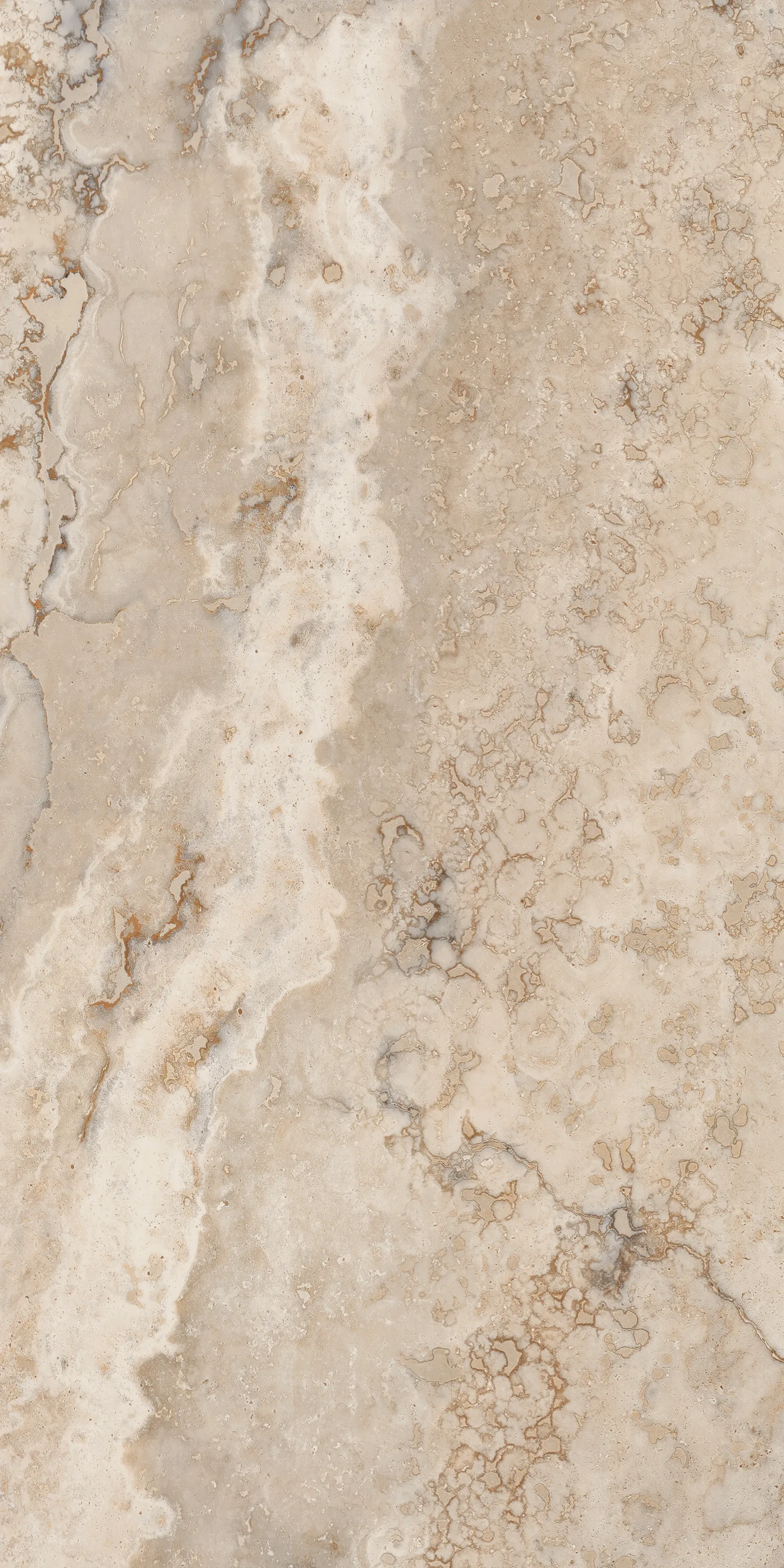 Кастор Терра 60x120