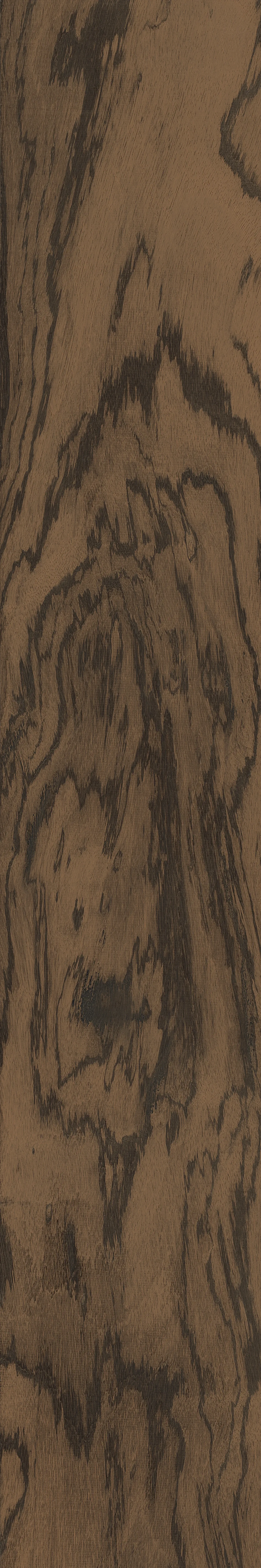 Тайрона Вуд 60x120