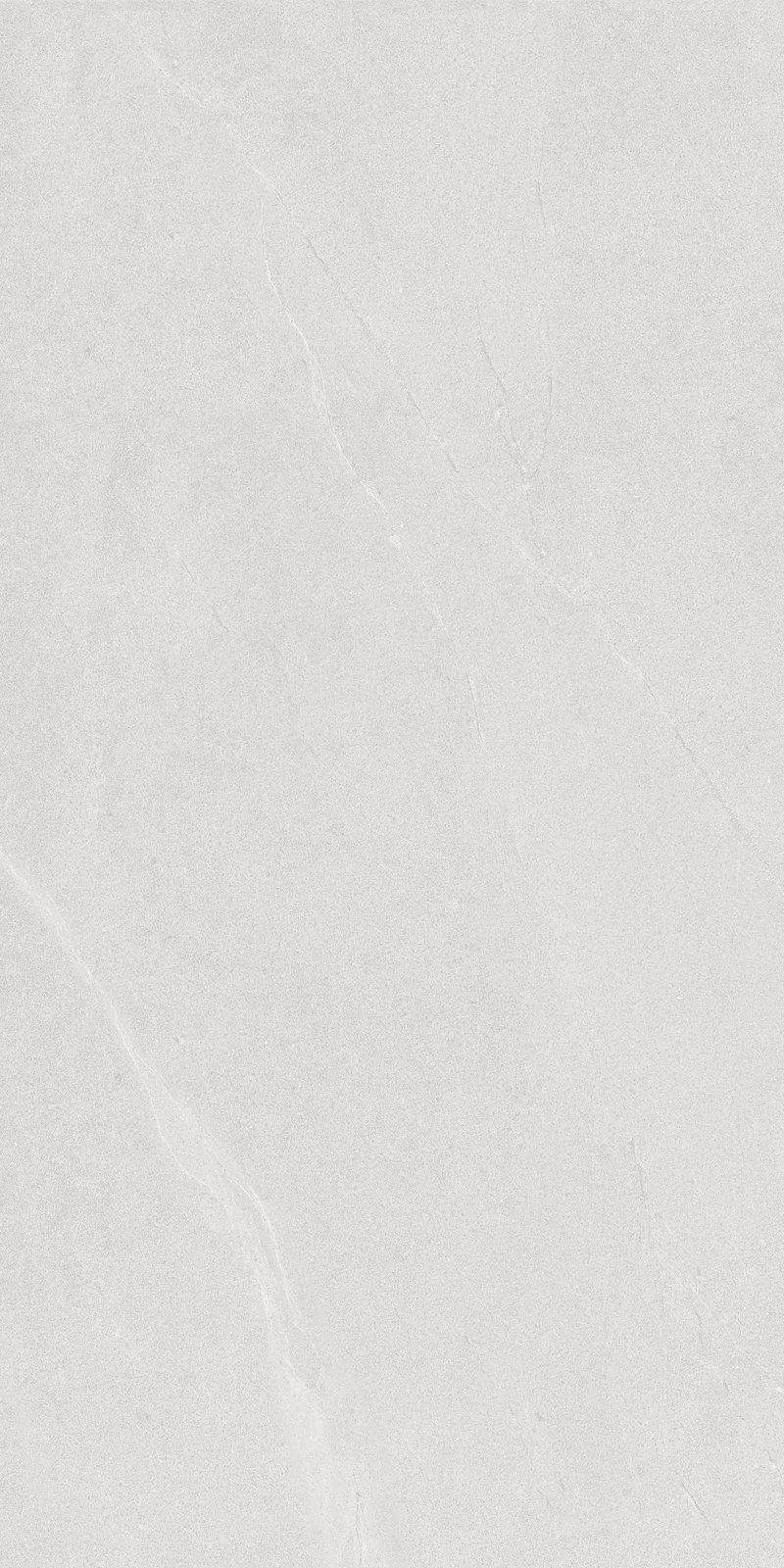 Палато Сильвер